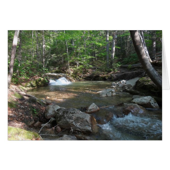 Waterfall at Pemigewasset River I (Front Horizontal)