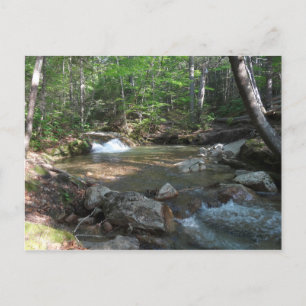 Waterfall at Pemigewasset River I Postcard