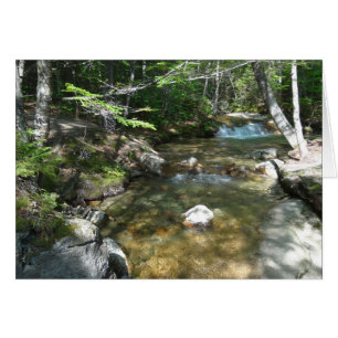Waterfall at Pemigewasset River III