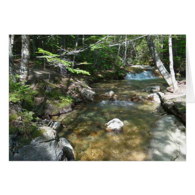 Waterfall at Pemigewasset River III (Front Horizontal)