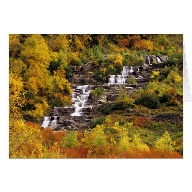 Waterfall below Mt Cannon in Glacier National (Front Horizontal)