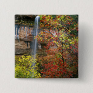 Waterfall, bigtooth maple Acer 15 Cm Square Badge