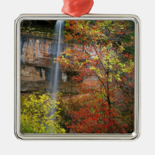 Waterfall, bigtooth maple Acer Metal Tree Decoration