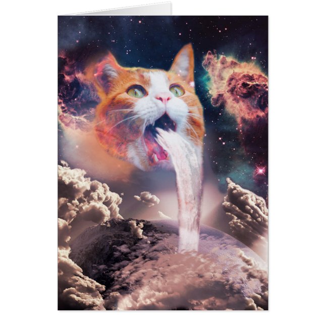 Waterfall cat (Front)