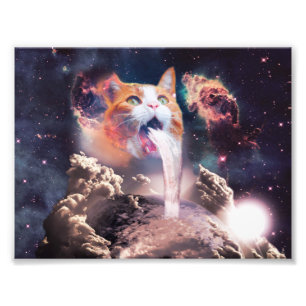 Waterfall cat photo print