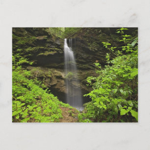 Waterfall falling into sink, Whiteoak Sink, Postcard