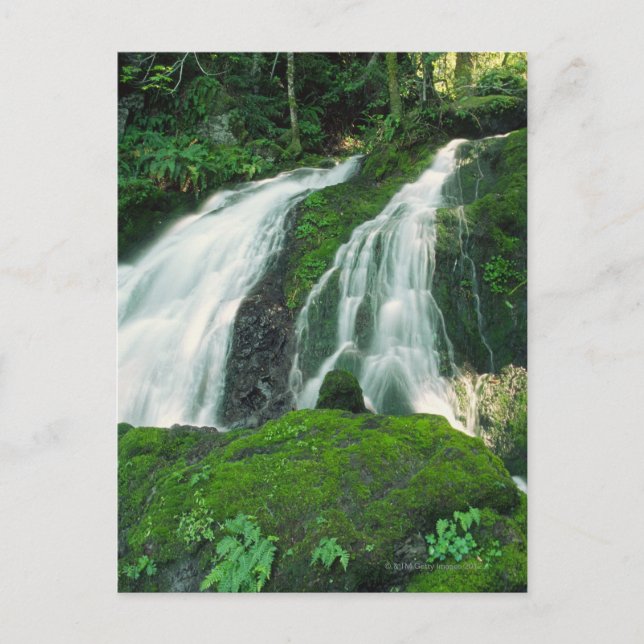 Waterfall falling over the mossy rocks, Mount Postcard (Front)
