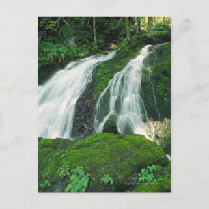 Waterfall falling over the mossy rocks, Mount Postcard