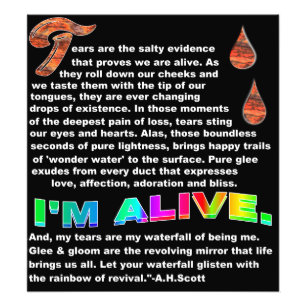 Waterfall Fantastic  Photo Print