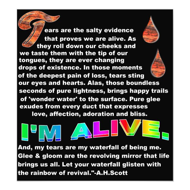 Waterfall Fantastic  Photo Print (Front)