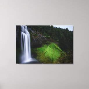 Waterfall forest canvas print