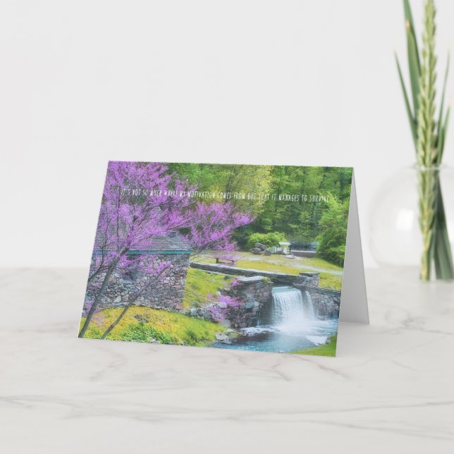 WATERFALL Greeting Card (Front)