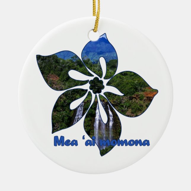 Waterfall Hibiscus Hawaiian Ornaments (Front)