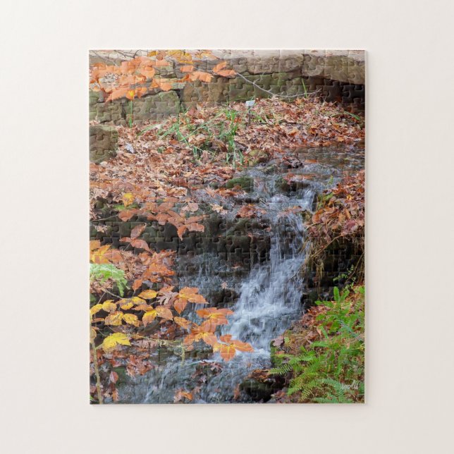 Waterfall in  Arkansas USA Jigsaw Puzzle (Vertical)