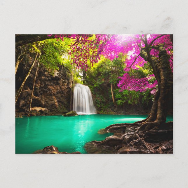 Waterfall in Autumn Forest Postcard (Front)