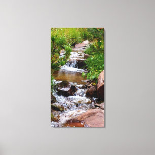 Waterfall in Colorado Canvas Print