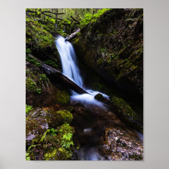 Waterfall in enchanted forest poster (Front)
