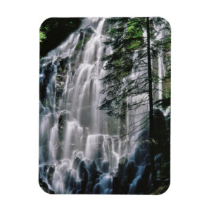 Waterfall in forest, Oregon Magnet