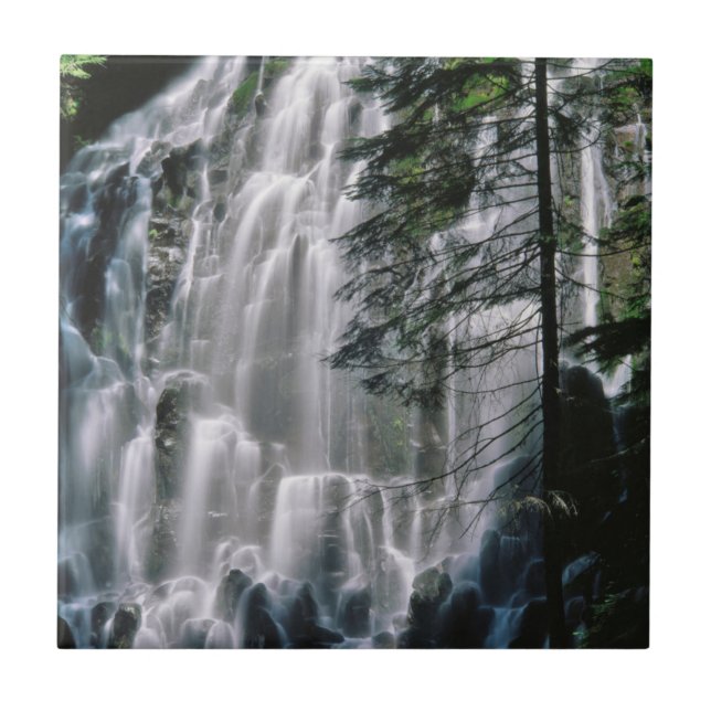 Waterfall in forest, Oregon Tile (Front)