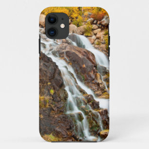 Waterfall In Grand Teton National Park iPhone 11 Case
