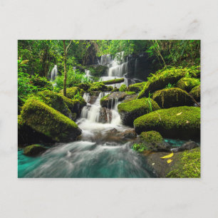 Waterfall in Jungle   Phu Tub Berk Mountain Postcard