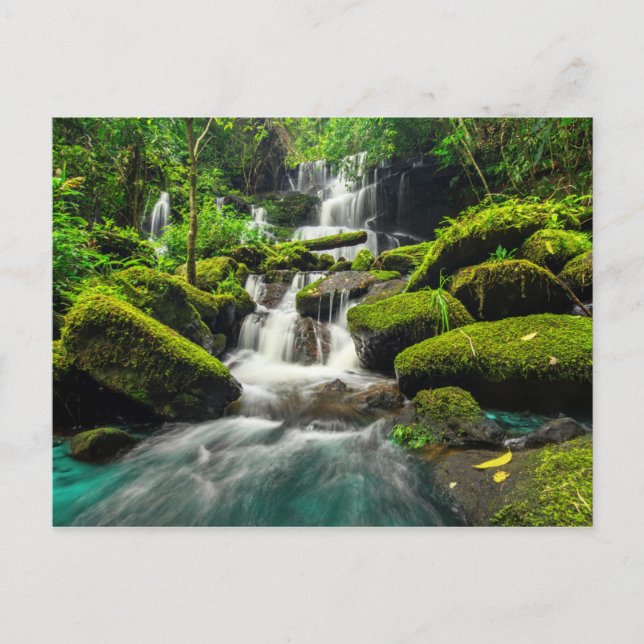 Waterfall in Jungle | Phu Tub Berk Mountain Postcard (Front)