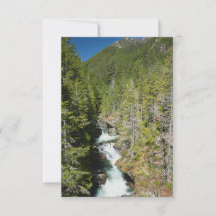Waterfall in Olympic National Forest Thank You Card