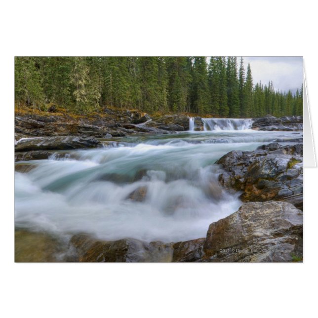 Waterfall In Sheep River In Rocky Mountains (Front Horizontal)