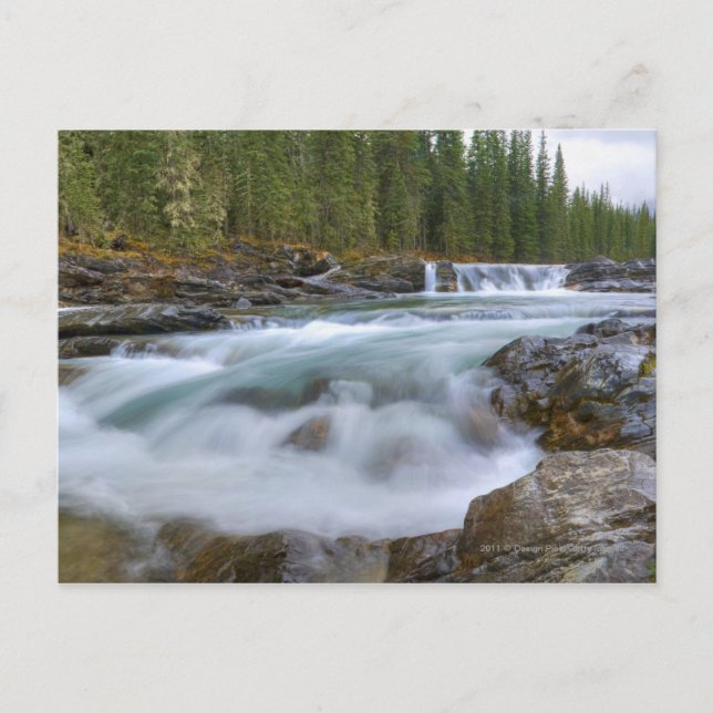 Waterfall In Sheep River In Rocky Mountains Postcard (Front)