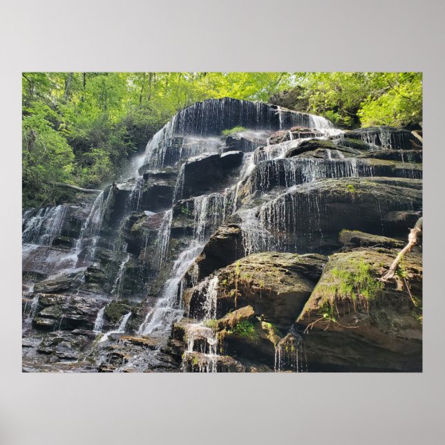 Waterfall in Spring Green Forest Poster (Front)