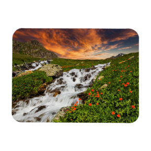 Waterfall in the Mountains with Flowers Magnet