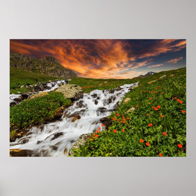 Waterfall in the Mountains with Flowers Poster (Front)