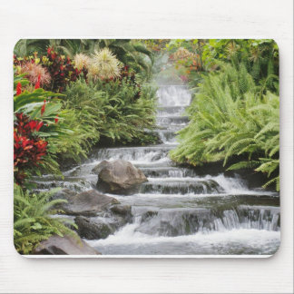 Waterfall Mouse Mat