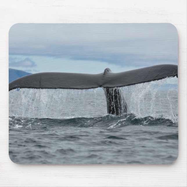 Waterfall Mouse Mat (Front)