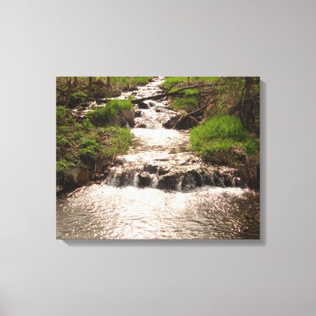 Waterfall Nature Woods Photography Canvas Print MN (Front)