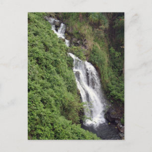 Waterfall Near Hilo, Hawaii Postcard