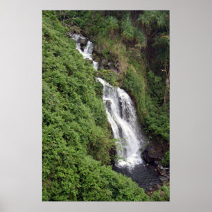 Waterfall Near Hilo, Hawaii Poster