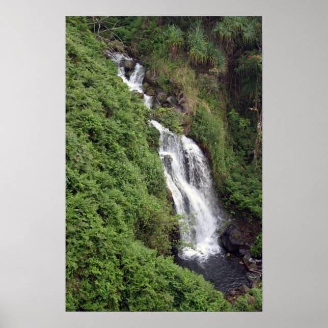 Waterfall Near Hilo, Hawaii Poster (Front)