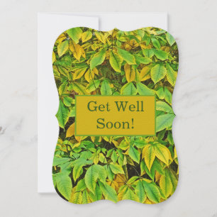 "Waterfall" Of Lime-Green And Lemon-Yellow Leaves
