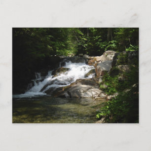 Waterfall on the Pemigewasset Postcard