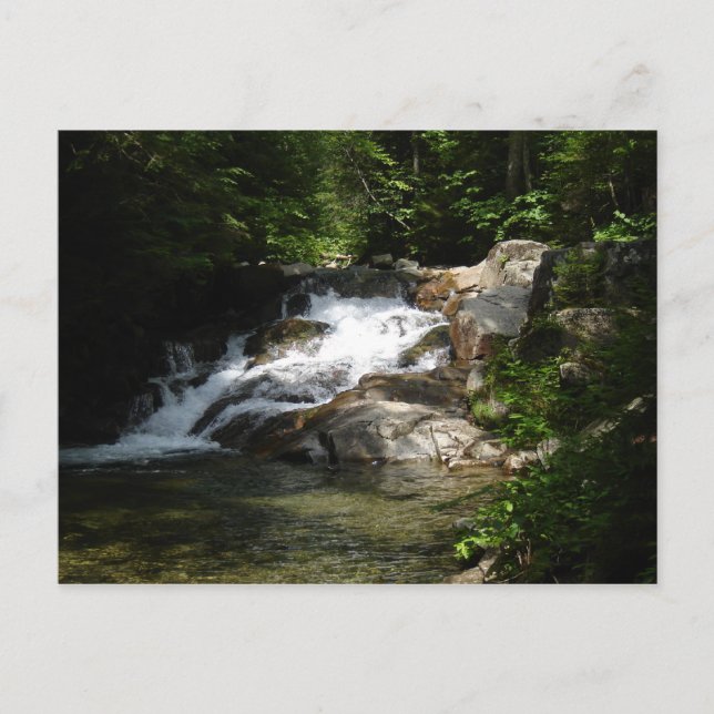 Waterfall on the Pemigewasset Postcard (Front)