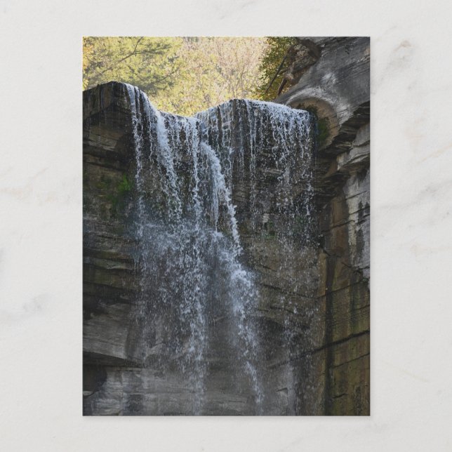 Waterfall Photo Postcard (Front)