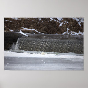 Waterfall Photo Poster