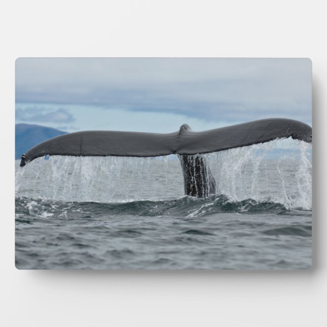 Waterfall Plaque (Front)