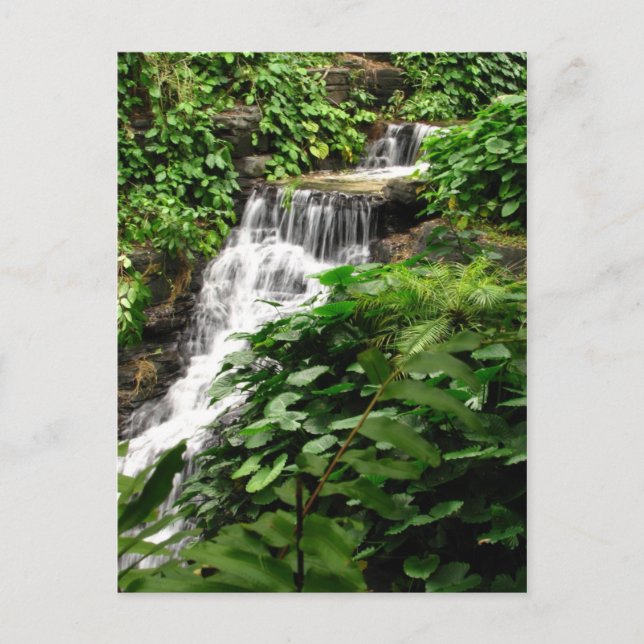 Waterfall Postcard (Front)