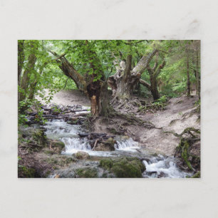 waterfall postcard