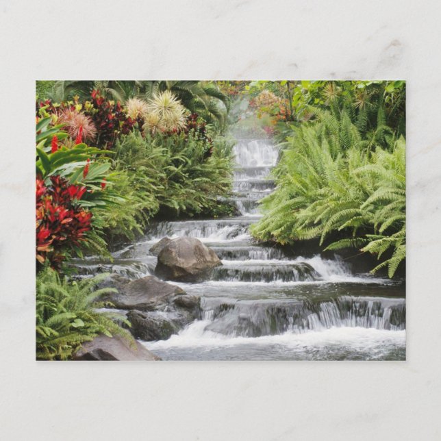Waterfall Postcard (Front)
