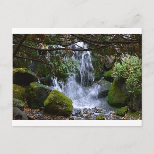 Waterfall Postcard (Front)