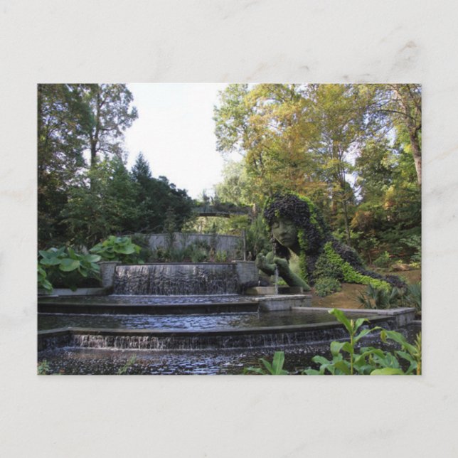 Waterfall Postcard (Front)