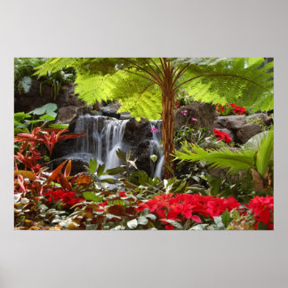 Waterfall Poster